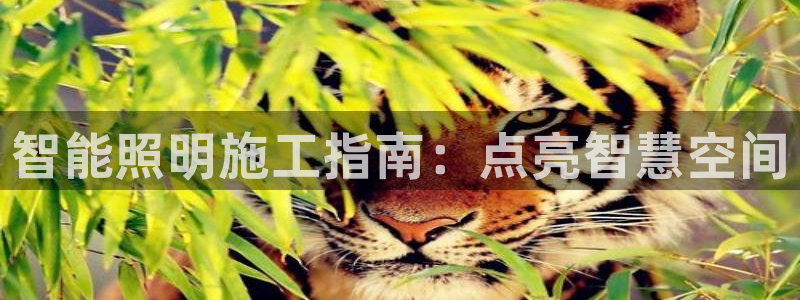 云顶国际足球app下载安卓