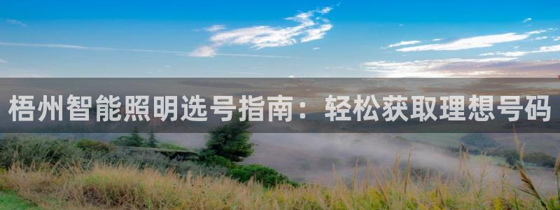 云顶国际前台电话号码