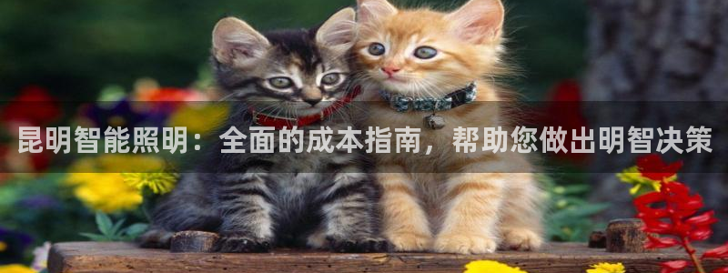 云顶国际服名字不可用