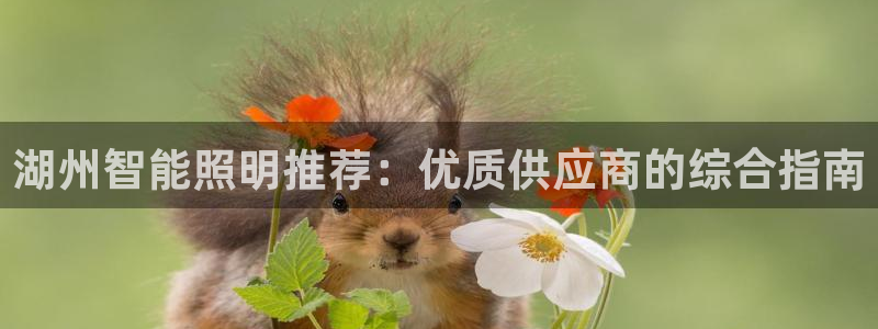 云顶国际停车费多少钱