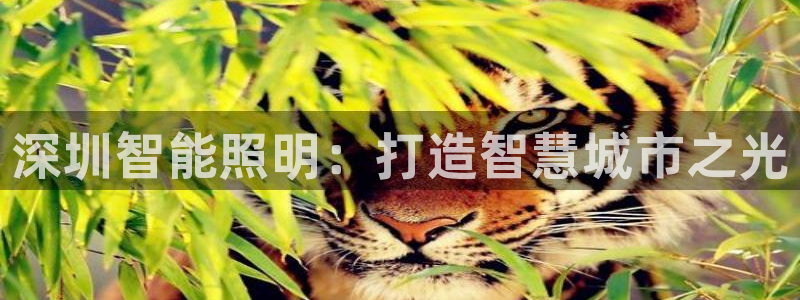 淮北市云顶国际俱乐部