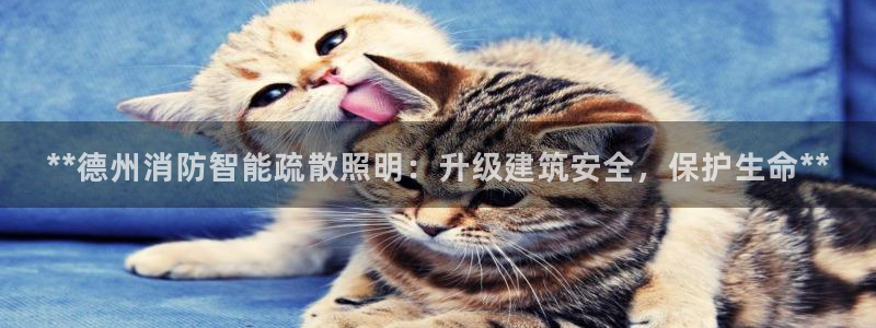 云顶讲解