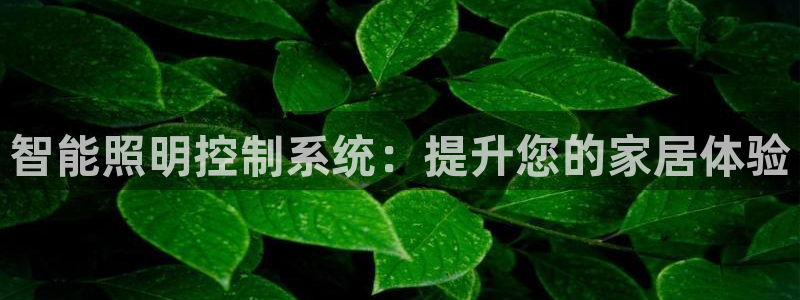 云顶国际装饰设计怎么样