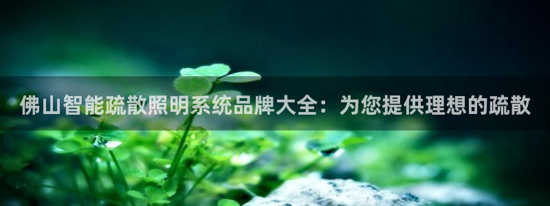 云顶国际官方网站下载安装