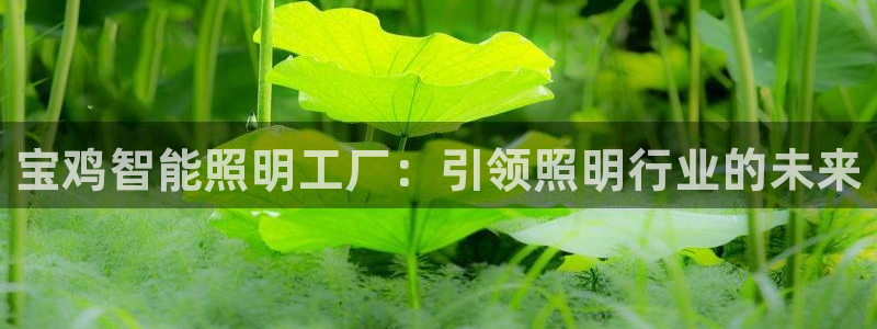云顶国际公馆物业电话