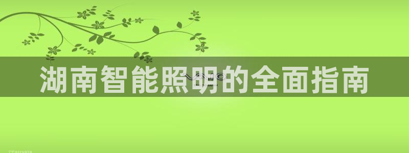 云顶国际大酒店房间价格表